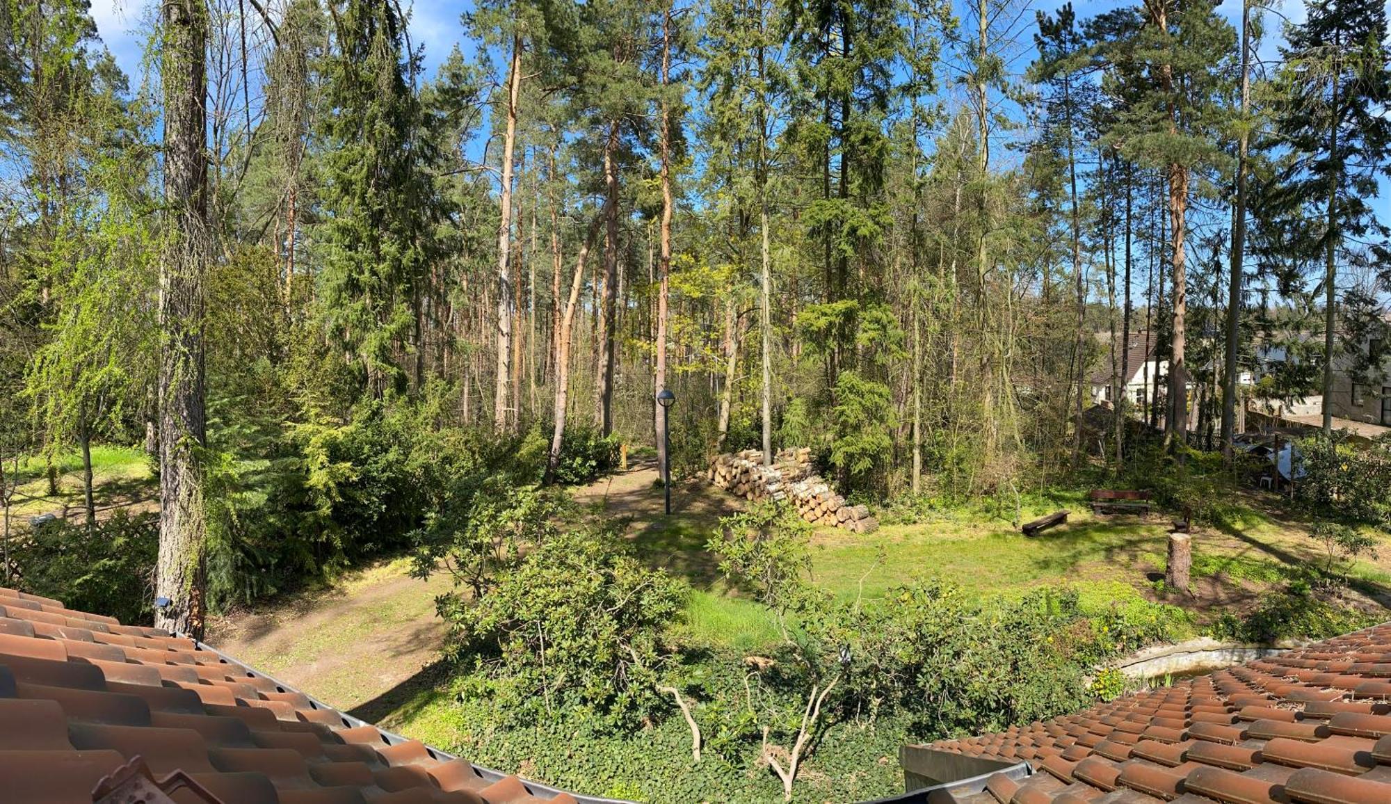 Waldhaus Eichhoernchen Bad Schmiedeberg Εξωτερικό φωτογραφία
