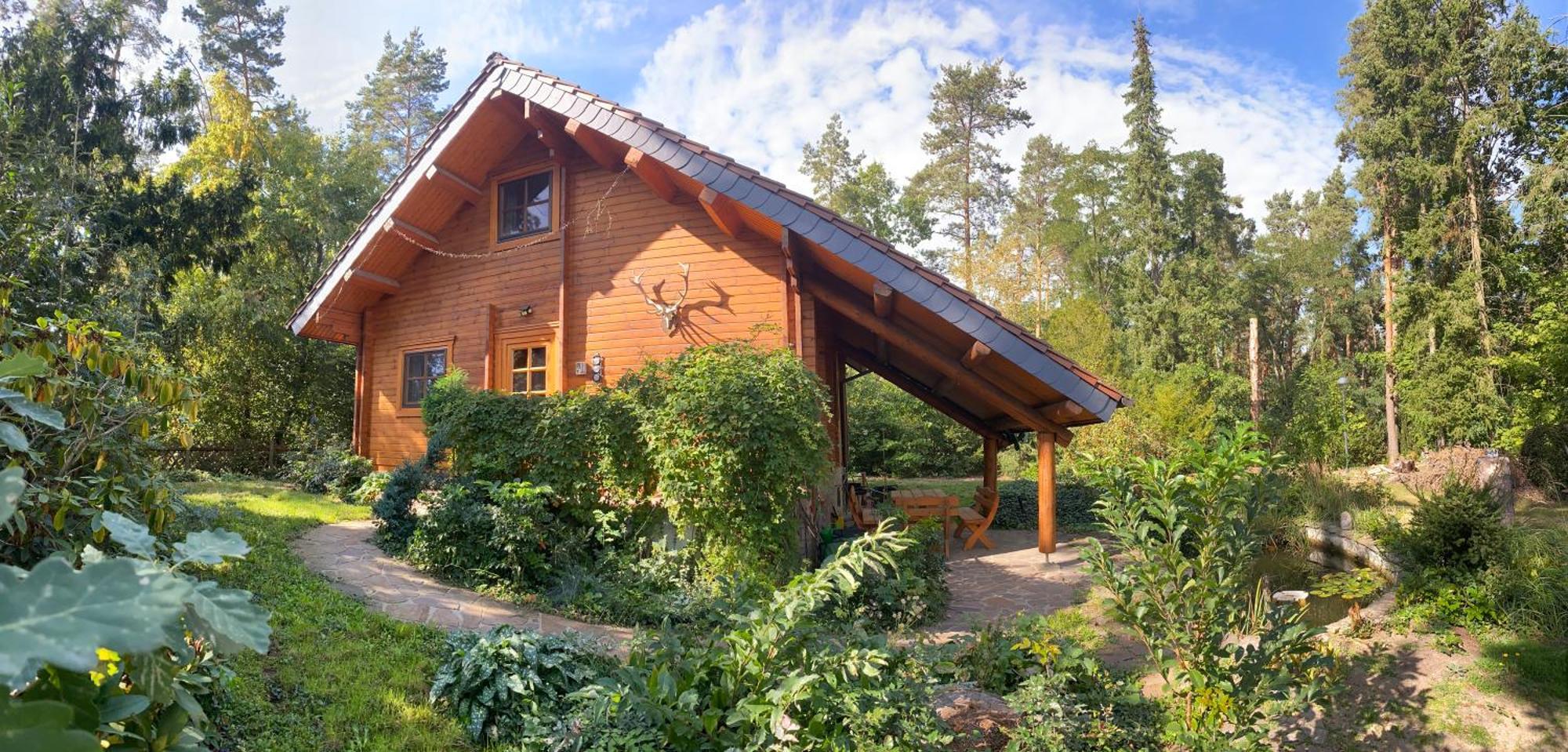 Waldhaus Eichhoernchen Bad Schmiedeberg Εξωτερικό φωτογραφία