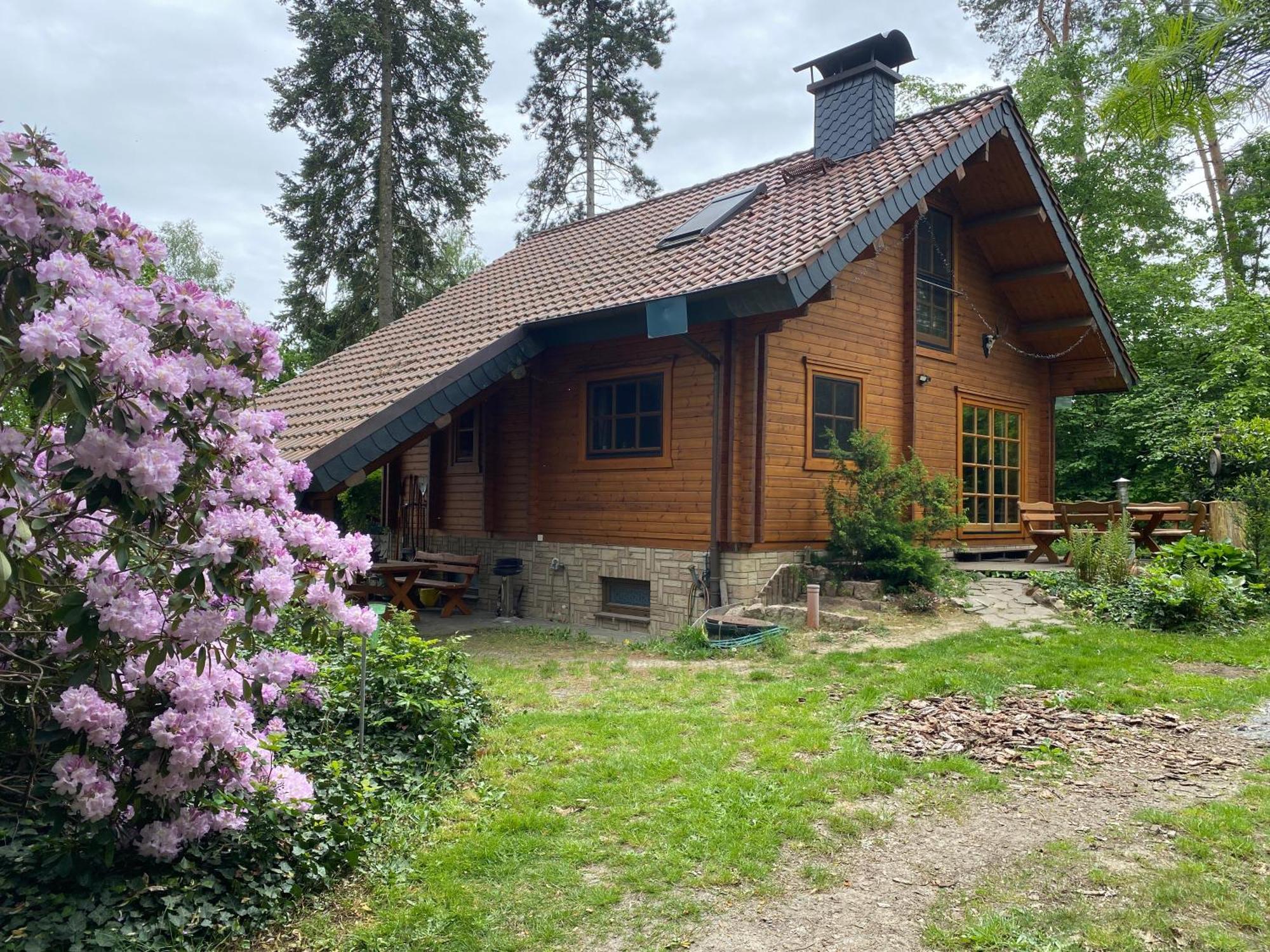 Waldhaus Eichhoernchen Bad Schmiedeberg Εξωτερικό φωτογραφία